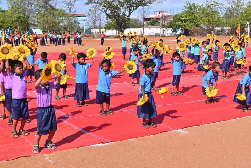 kindergarten courses